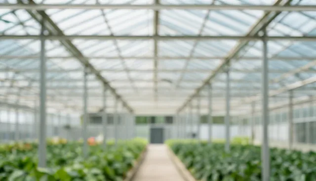 康复指导服务:常见问题与处理方法分析